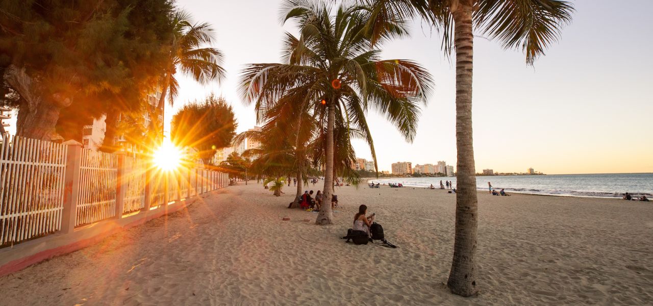 Sunset on a beach with palm trees and people enjoying the view of the ocean and a skyline in the background